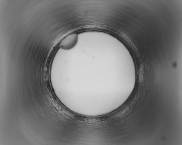 X0000116030876200912111413