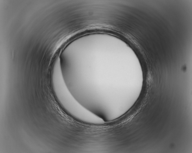 X0000116030877200912111413