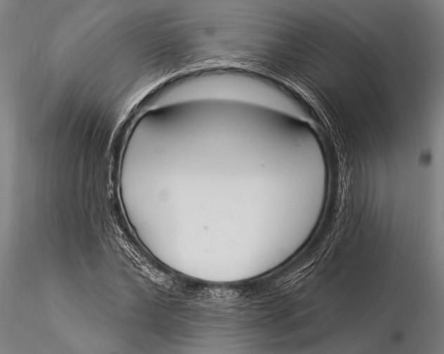 X0000116030878200912111413