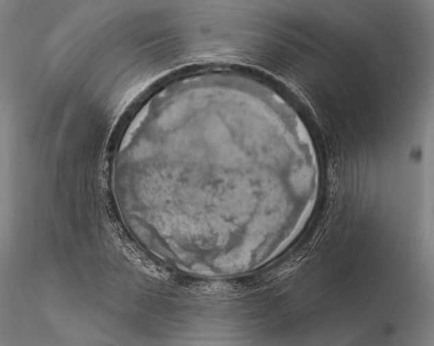 X0000116030879200912111413