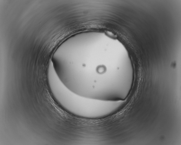 X0000116030881200912111413