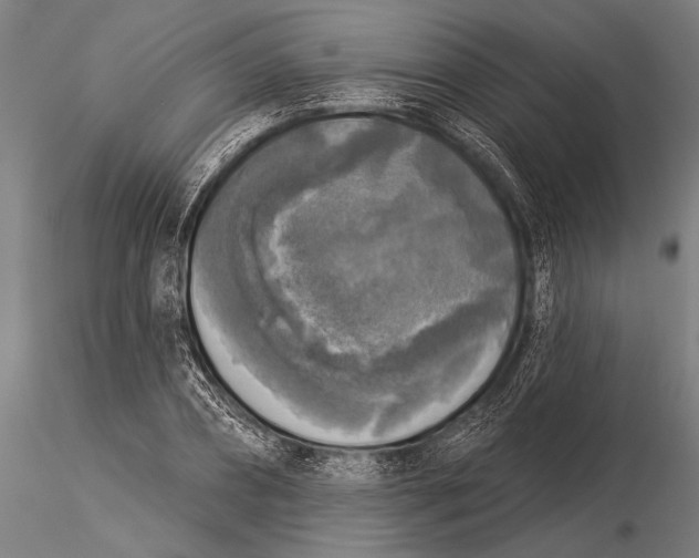 X0000116030882200912111413