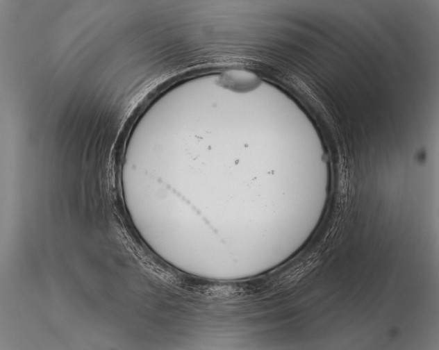 X0000116030883200912111413