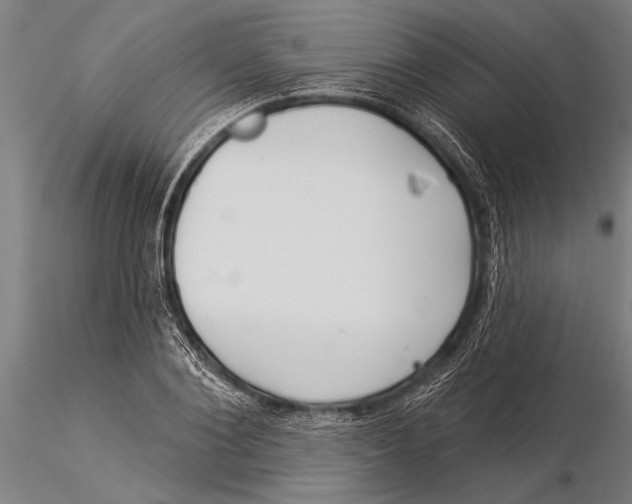 X0000116030884200912111413