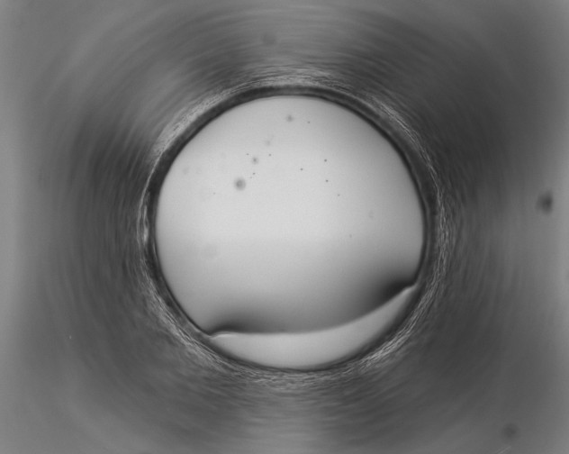 X0000116030885200912111413