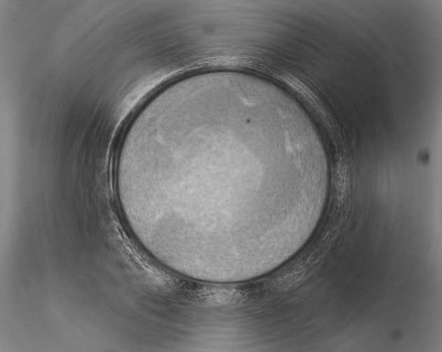 X0000116030886200912111413