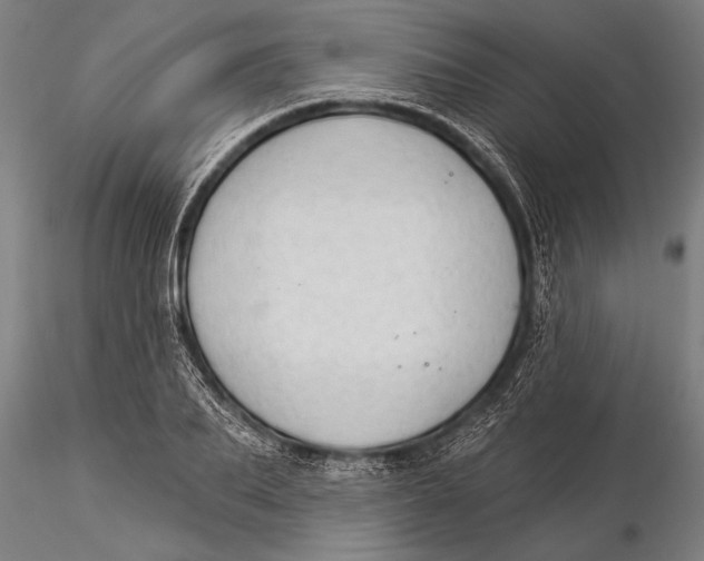 X0000116030887200912111413