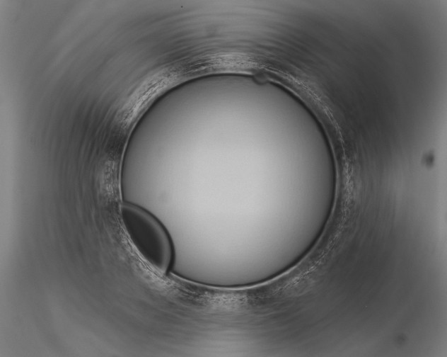 X0000116030889200912111413