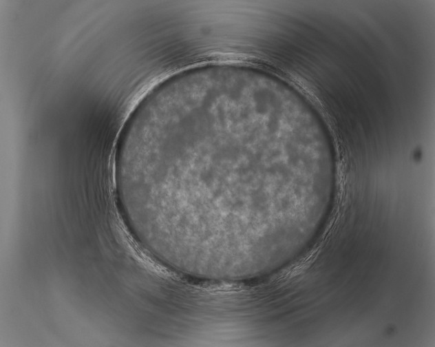 X0000116030891200912111413