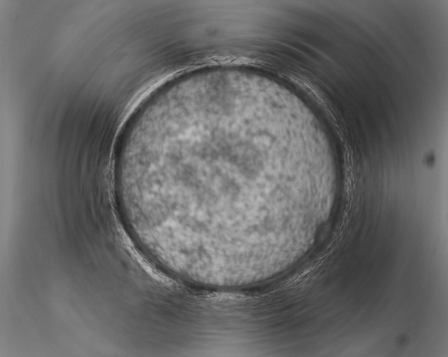 X0000116030894200912111413