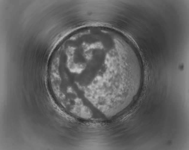 X0000116030895200912111413