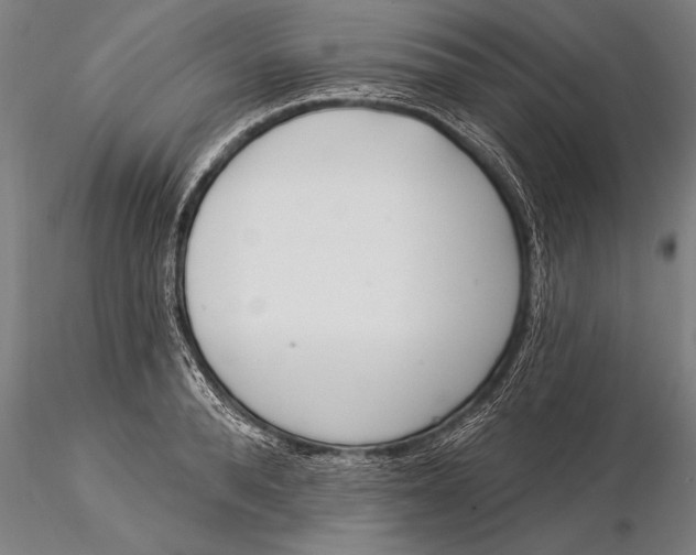 X0000116030896200912111413