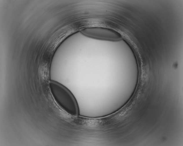 X0000116030897200912111413