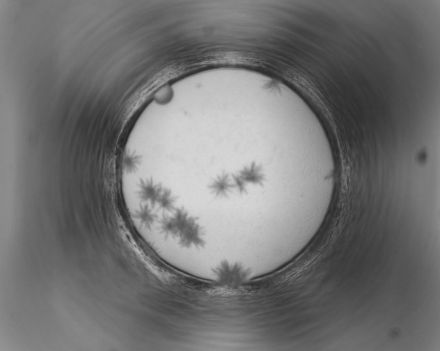 X0000116030898200912111413