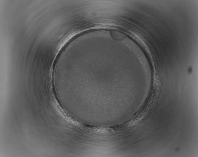 X0000116030899200912111413