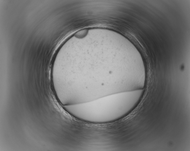 X0000116030900200912111413