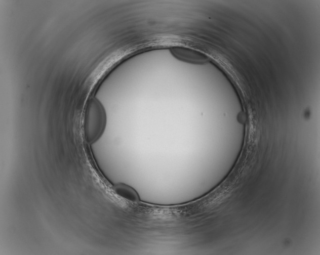 X0000116030901200912111413