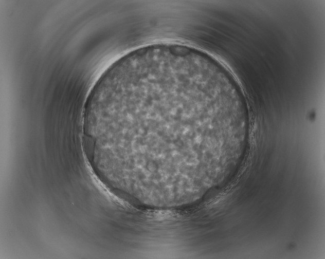 X0000116030903200912111413