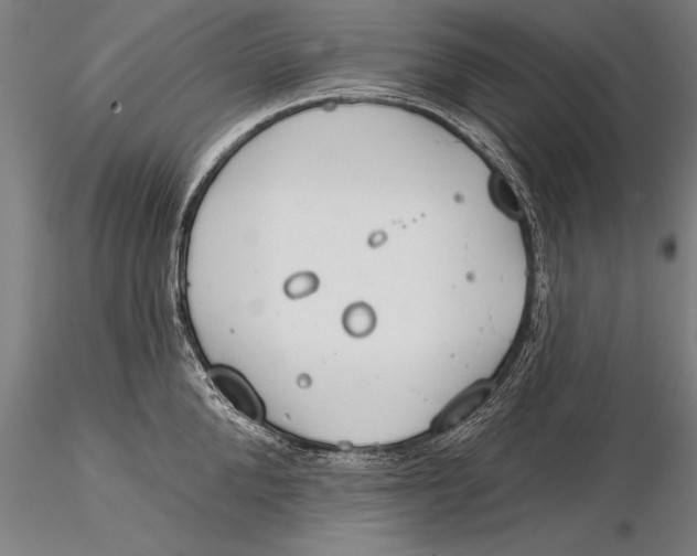 X0000116030904200912111413