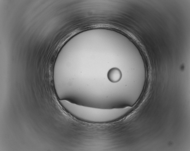 X0000116030905200912111413