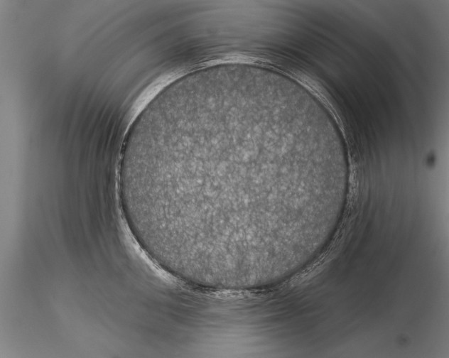 X0000116030906200912111413