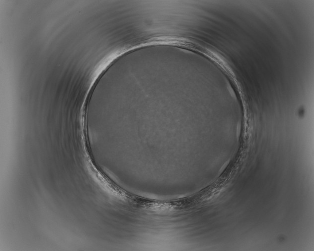 X0000116030907200912111413