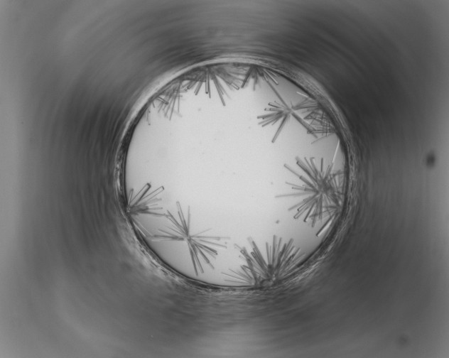 X0000116030908200912111413