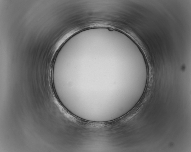 X0000116030909200912111413