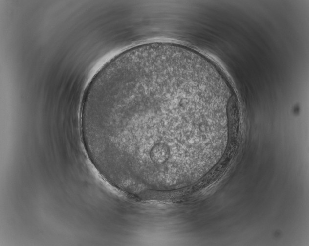 X0000116030910200912111413