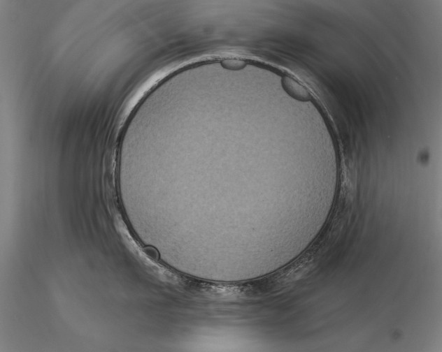 X0000116030911200912111413