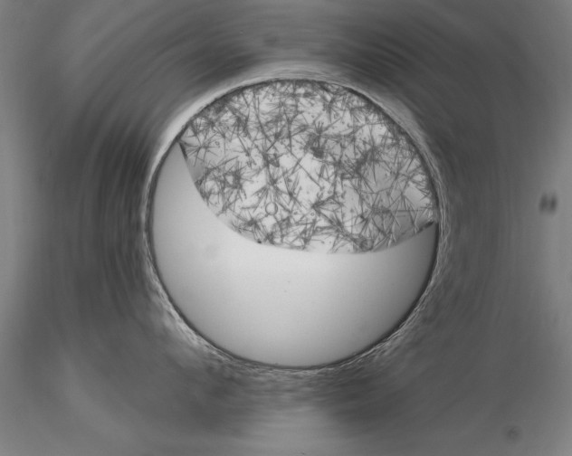 X0000116030912200912111413