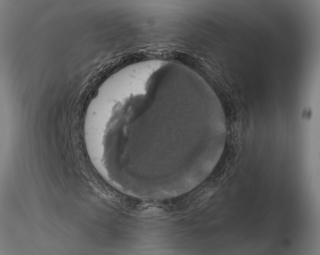 X0000116030913200912111412