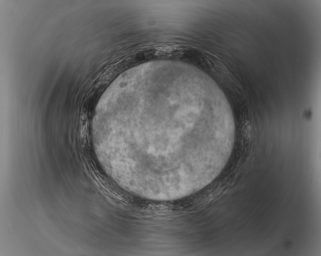 X0000116030914200912111412