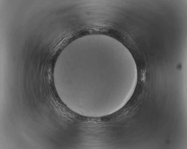 X0000116030915200912111412