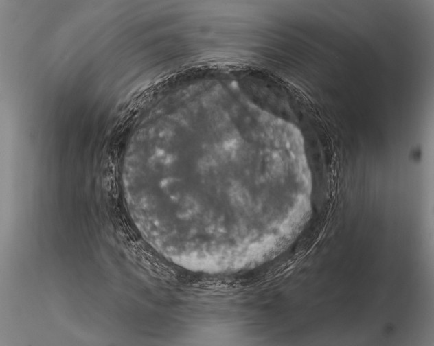 X0000116030917200912111412