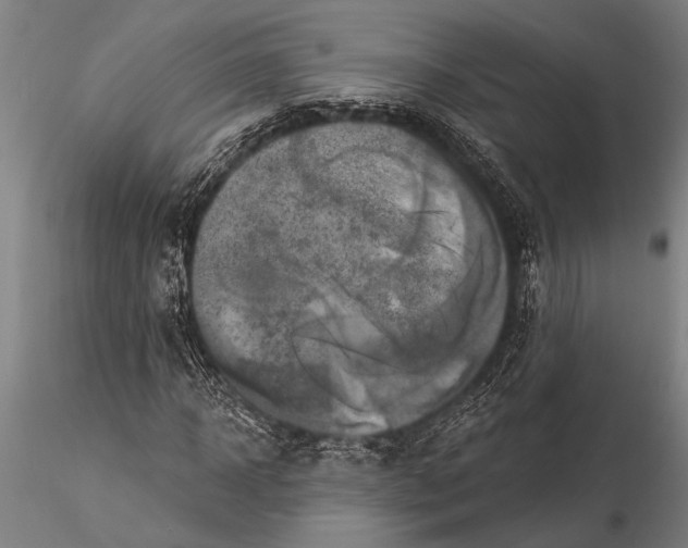 X0000116030918200912111412