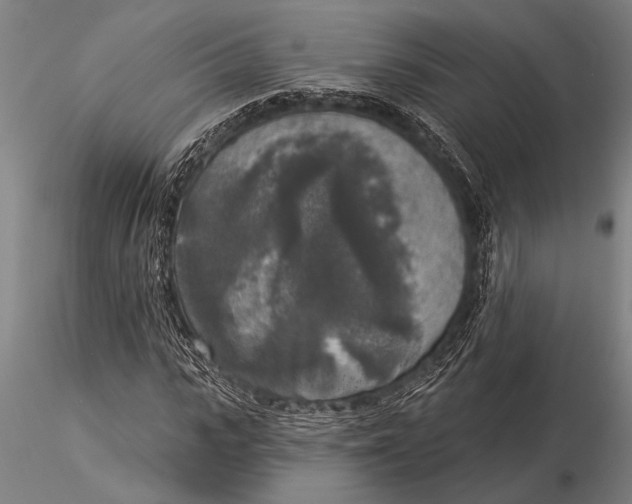 X0000116030919200912111412