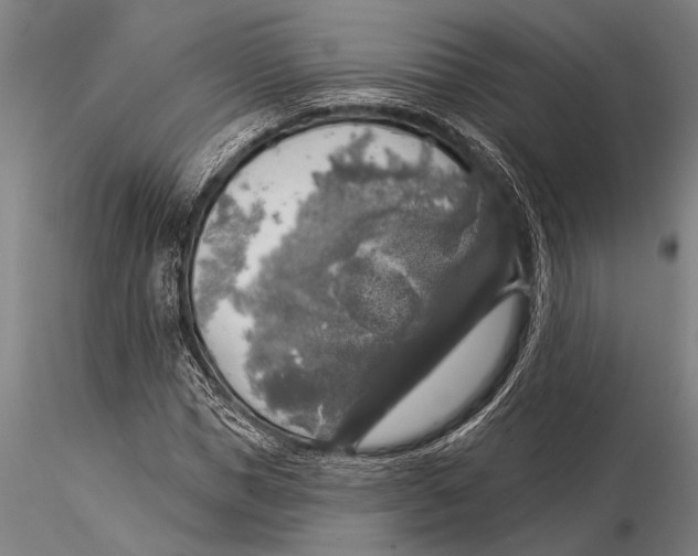 X0000116030921200912111412