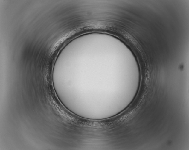 X0000116030922200912111412