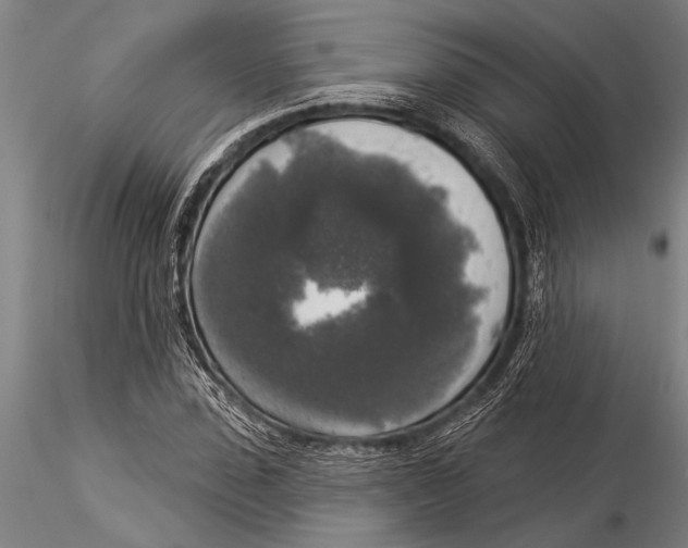 X0000116030923200912111412