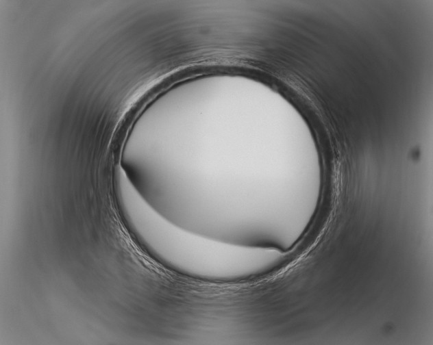 X0000116030925200912111412