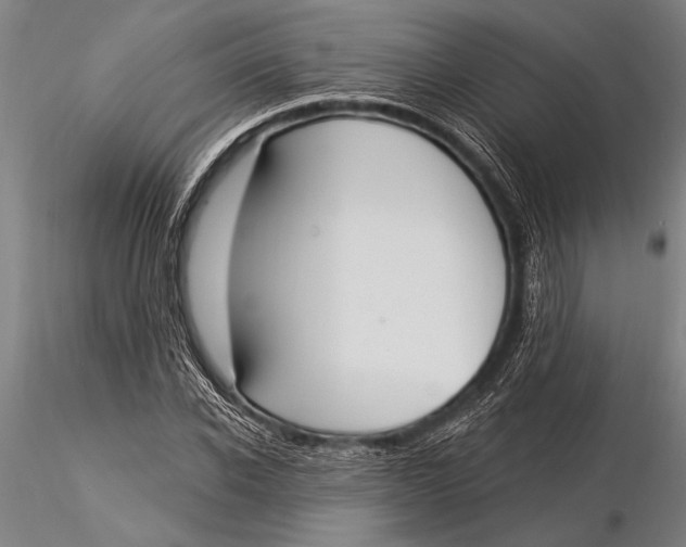 X0000116030926200912111412