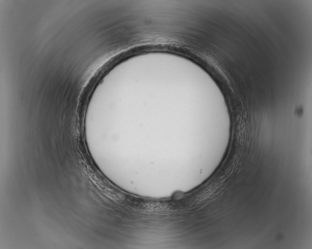 X0000116030927200912111412