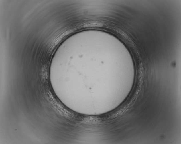 X0000116030929200912111412