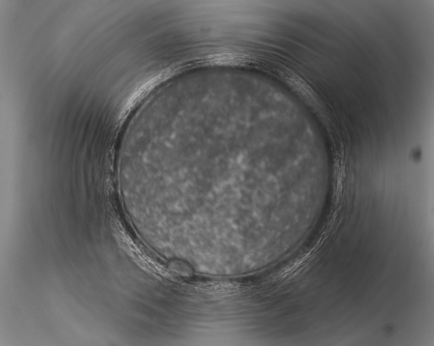 X0000116030930200912111412