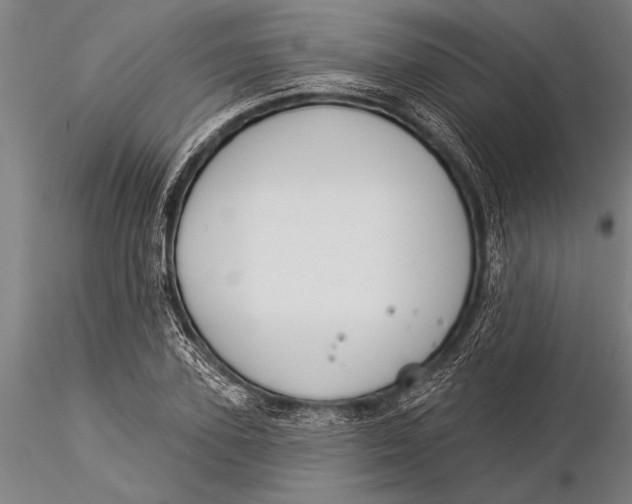 X0000116030931200912111412