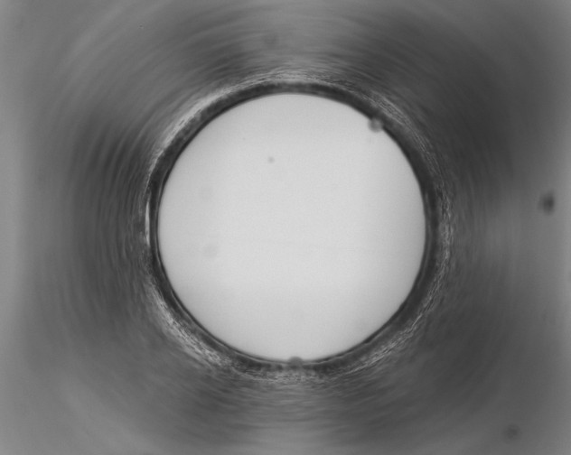 X0000116030934200912111412