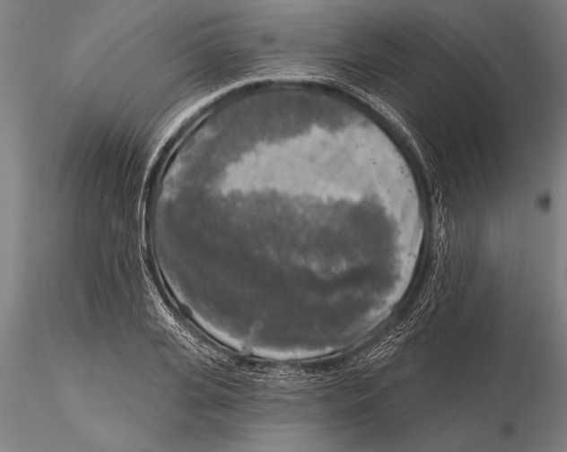 X0000116030935200912111412