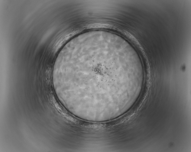 X0000116030937200912111412