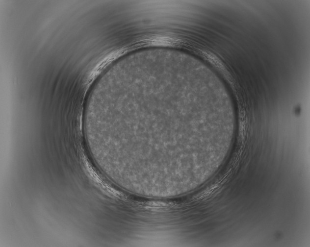 X0000116030938200912111412